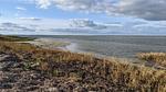 WaterView - Ferienhaus für 6 Personen (55 m²) in Jægerspris - Top-Hundeurlaub