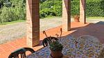 outside - Ferienwohnung für 6 Personen (70 m²) - Top-Hundeurlaub