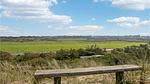 view-from-room - Ferienhaus für 4 Personen (75 m²) in Ringkøbing - Top-Hundeurlaub