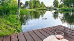 outside - Ferienhaus für 6 Personen (105 m²) in Vlagtwedde - Top-Hundeurlaub