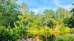 view-from-room - Ferienhaus für 6 Personen (105 m²) in Vlagtwedde - Top-Hundeurlaub