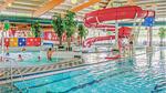 pool - Ferienhaus für 6 Personen (105 m²) in Vlagtwedde - Top-Hundeurlaub