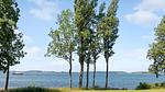 view-from-room - Ferienhaus für 8 Personen (96 m²) in Stubbekøbing - Top-Hundeurlaub