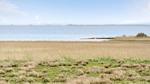 view-from-room - Ferienhaus für 8 Personen (165 m²) in Hvide Sande - Top-Hundeurlaub