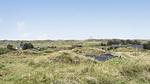 view-from-room - Ferienhaus für 8 Personen (165 m²) in Hvide Sande - Top-Hundeurlaub