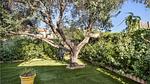 garden - Ferienhaus für 10 Personen (170 m²) in Sainte-Maxime - Top-Hundeurlaub
