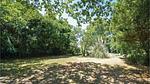 outside - Ferienhaus für 10 Personen (260 m²) in Jonquières - Top-Hundeurlaub