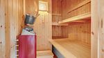 activities - Ferienhaus für 6 Personen (98 m²) in Hvide Sande - Top-Hundeurlaub