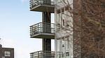 house - Ferienwohnung für 4 Personen (80 m²) in Gråsten - Top-Hundeurlaub