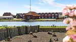 outside - Ferienhaus für 6 Personen (164 m²) in Ulfborg - Top-Hundeurlaub