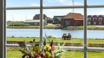 view-from-room - Ferienhaus für 6 Personen (164 m²) in Ulfborg - Top-Hundeurlaub