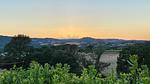 view-from-room - Ferienhaus für 8 Personen (161 m²) in Todi - Top-Hundeurlaub