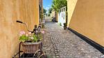 outside - Ferienhaus für 4 Personen (61 m²) in Sæby - Top-Hundeurlaub
