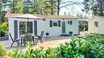 house - Ferienhaus für 4 Personen (37 m²) in Vorden - Top-Hundeurlaub