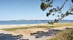 house - Ferienhaus für 6 Personen (62 m²) in Ebeltoft - Top-Hundeurlaub