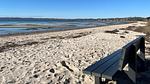 beach - Ferienhaus für 14 Personen (185 m²) in Ebeltoft - Top-Hundeurlaub