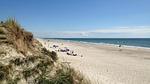 beach - Ferienhaus für 18 Personen (253 m²) in Blåvand - Top-Hundeurlaub