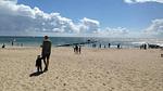 beach - Ferienhaus für 18 Personen (253 m²) in Blåvand - Top-Hundeurlaub