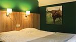 bed - Ferienhaus für 6 Personen (59 m²) in Ommen - Top-Hundeurlaub