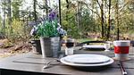 house - Ferienhaus für 6 Personen (59 m²) in Ommen - Top-Hundeurlaub