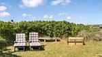 garden - Ferienhaus für 6 Personen (96 m²) in Hvide Sande - Top-Hundeurlaub