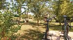 activities - Ferienhaus für 6 Personen (80 m²) in Fornacette - Top-Hundeurlaub