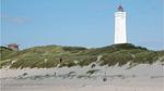 house - Ferienhaus für 6 Personen (94 m²) in Blåvand - Top-Hundeurlaub