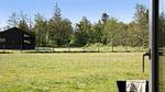 view-from-room - Ferienhaus für 6 Personen (98 m²) in Ålbæk - Top-Hundeurlaub