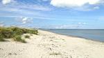 beach - Ferienhaus für 30 Personen (370 m²) in Ålbæk - Top-Hundeurlaub