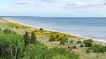 area - Ferienhaus für 18 Personen (264 m²) in Væggerløse - Top-Hundeurlaub
