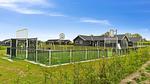 activities - Ferienhaus für 30 Personen (375 m²) in Bogense - Top-Hundeurlaub