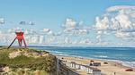 beach - Ferienhaus für 12 Personen (178 m²) in Blokhus - Top-Hundeurlaub