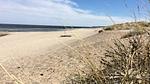 beach - Ferienhaus für 22 Personen (279 m²) in Frederiksværk - Top-Hundeurlaub