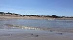 beach - Ferienhaus für 22 Personen (279 m²) in Frederiksværk - Top-Hundeurlaub