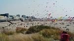beach - Bungalow für 4 Personen (60 m²) in Berck - Top-Hundeurlaub