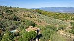 exterior - Ferienhaus für 22 Personen (410 m²) in Montegonzi - Top-Hundeurlaub