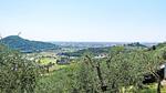 exterior - Ferienhaus für 4 Personen (75 m²) in Massarosa - Top-Hundeurlaub