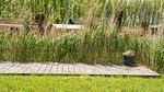 Garten [Sommer] - Ferienhaus für 4 Personen (55 m²) - Top-Hundeurlaub