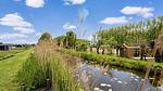 Aussicht vom Ferienhaus [Sommer] - Ferienhaus für 4 Personen (55 m²) - Top-Hundeurlaub