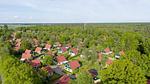 house - Bungalow für 6 Personen (95 m²) in Baarschot (Hilvarenbeek) - Top-Hundeurlaub