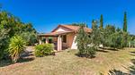 exterior - Ferienhaus für 6 Personen (75 m²) in Cecina - Top-Hundeurlaub