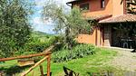 exterior - Ferienhaus für 12 Personen (160 m²) in San Miniato - Top-Hundeurlaub