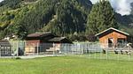 exterior - Ferienwohnung für 8 Personen (85 m²) in Bichlbach - Top-Hundeurlaub