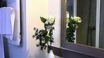 Ferienwohnung für 9 Personen (55 m²) in Grimaud - Top-Hundeurlaub
