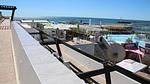 AreaSummer5KM - Ferienwohnung für 5 Personen (25 m²) in Cap D'Agde - Top-Hundeurlaub