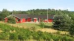 Outdoor - Ferienhaus für 13 Personen (200 m²) in Ebeltoft - Top-Hundeurlaub
