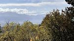 AreaSummer20KM - Ferienwohnung für 6 Personen (40 m²) in Leucate - Top-Hundeurlaub