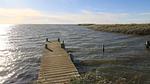 WaterView - Ferienhaus für 7 Personen (88 m²) in Hvide Sande - Top-Hundeurlaub