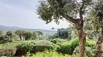 ExteriorSummer - Ferienwohnung für 7 Personen (55 m²) in Grimaud - Top-Hundeurlaub