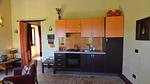 Kitchen - Ferienwohnung für 3 Personen (38 m²) in Pergola - Top-Hundeurlaub